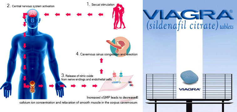 COD单页系统建站,联系QQ：494906791/微信：Cod_web
